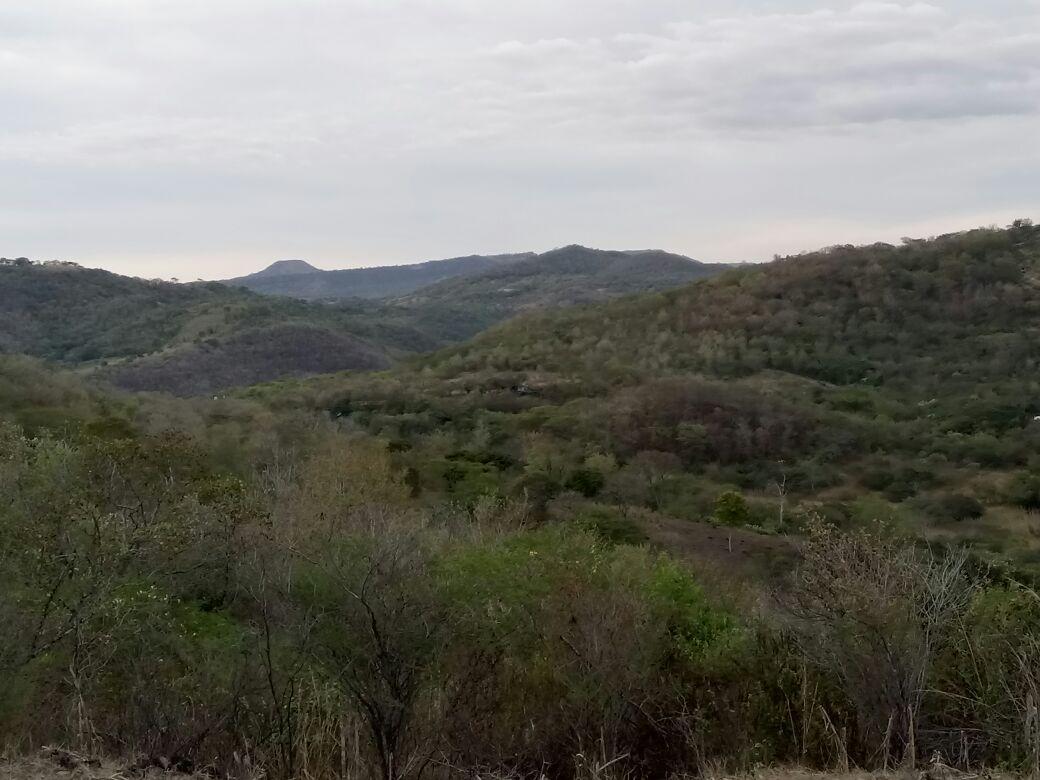 Pensjonat La Ceibita Tours Los Potrerillos Zewnętrze zdjęcie